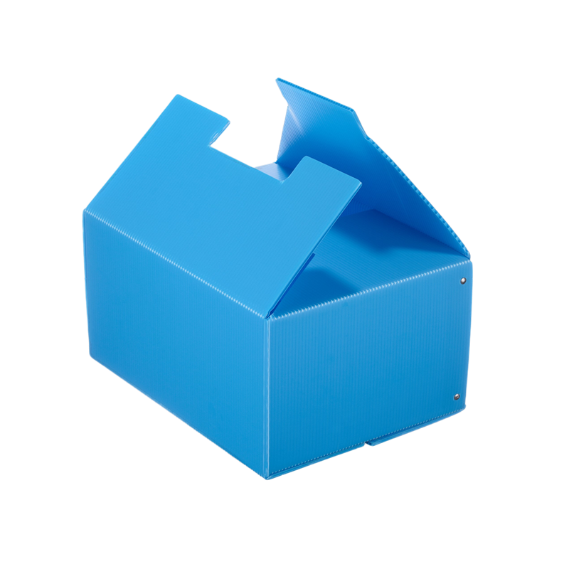 底形状のアメリカンロックのイメージ